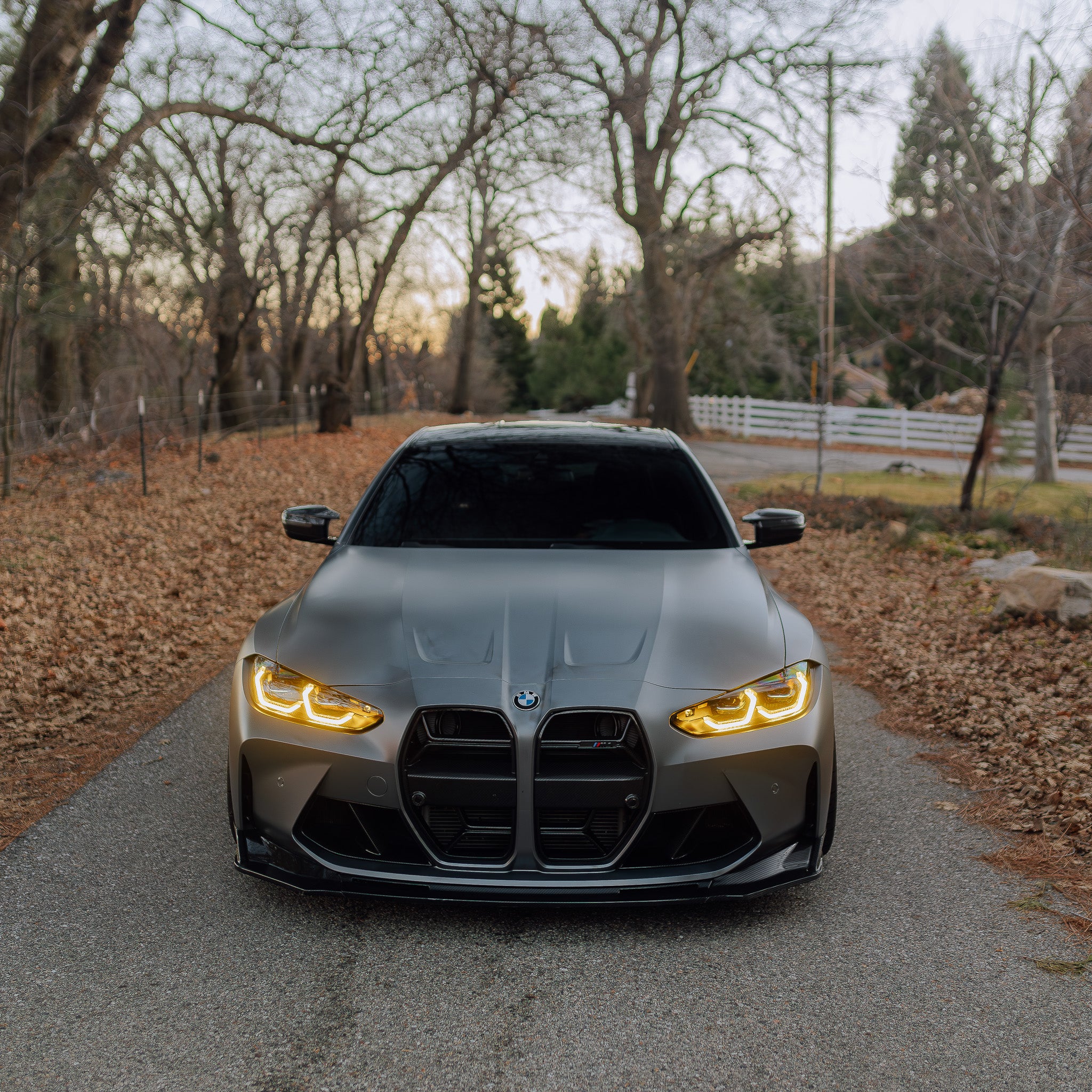 CSL Style Carbon Fiber Front Grilles - BMW G80 M3 & G82/G83 M4