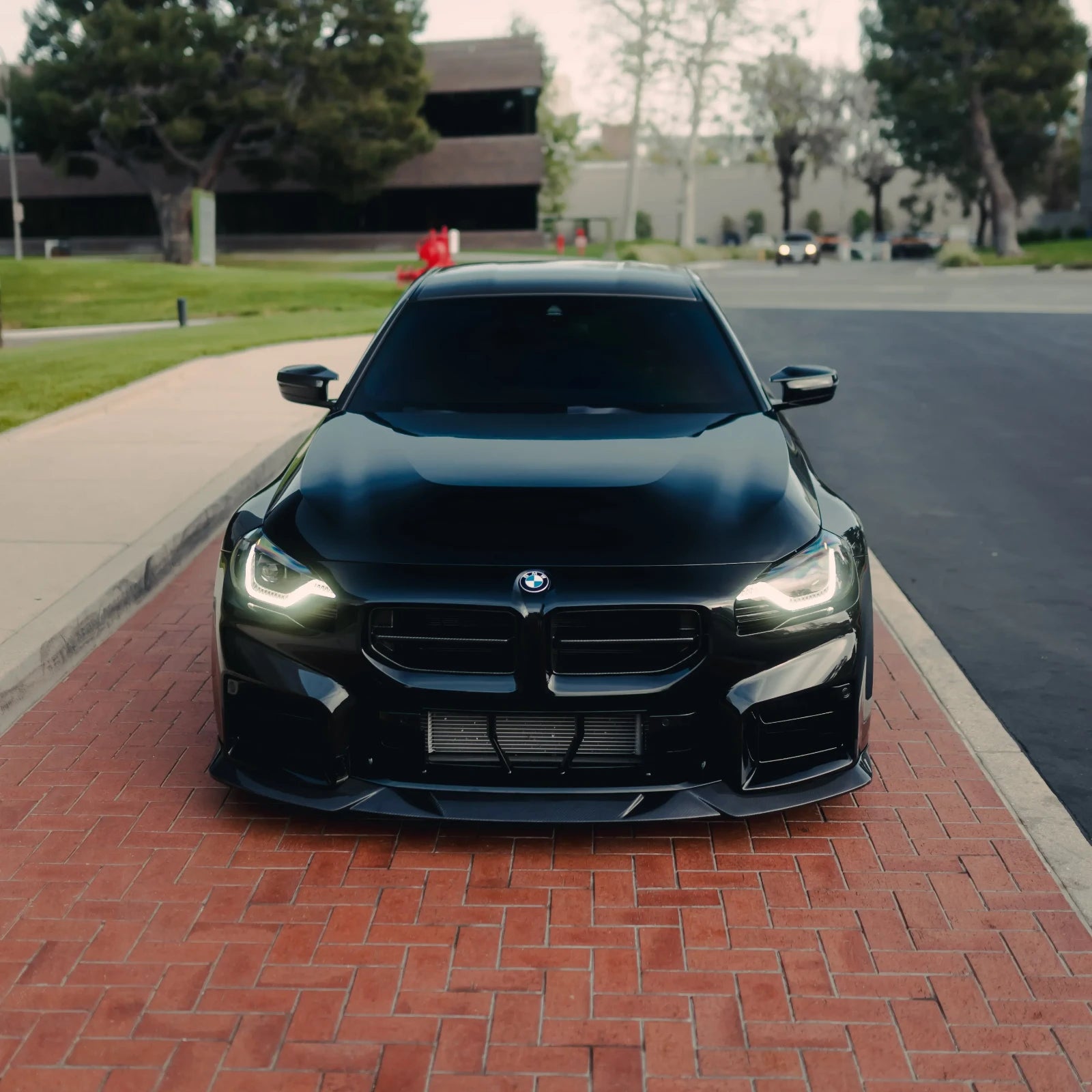 AN Style Carbon Fiber Front Grilles - BMW G87 M2