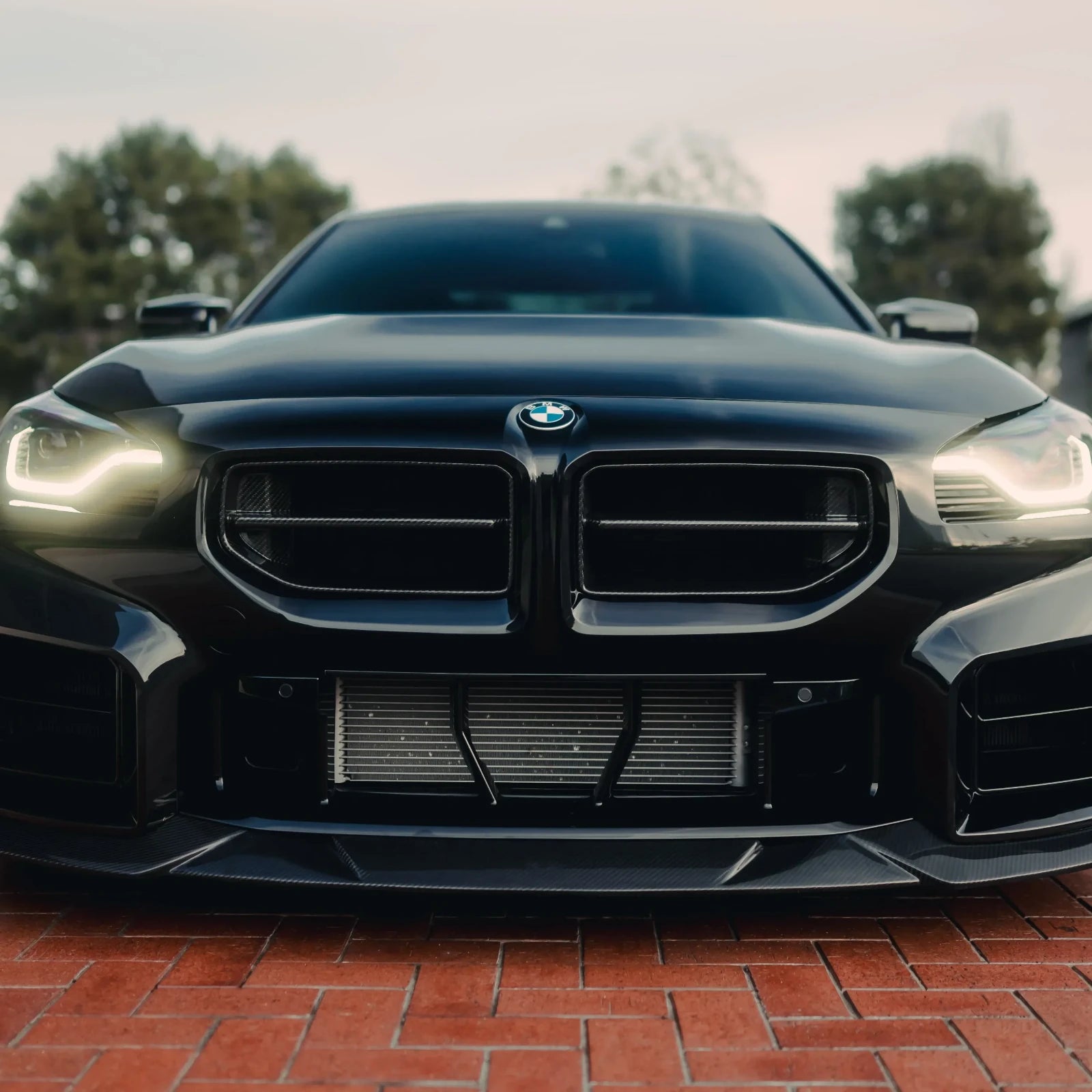 AN Style Carbon Fiber Front Grilles - BMW G87 M2