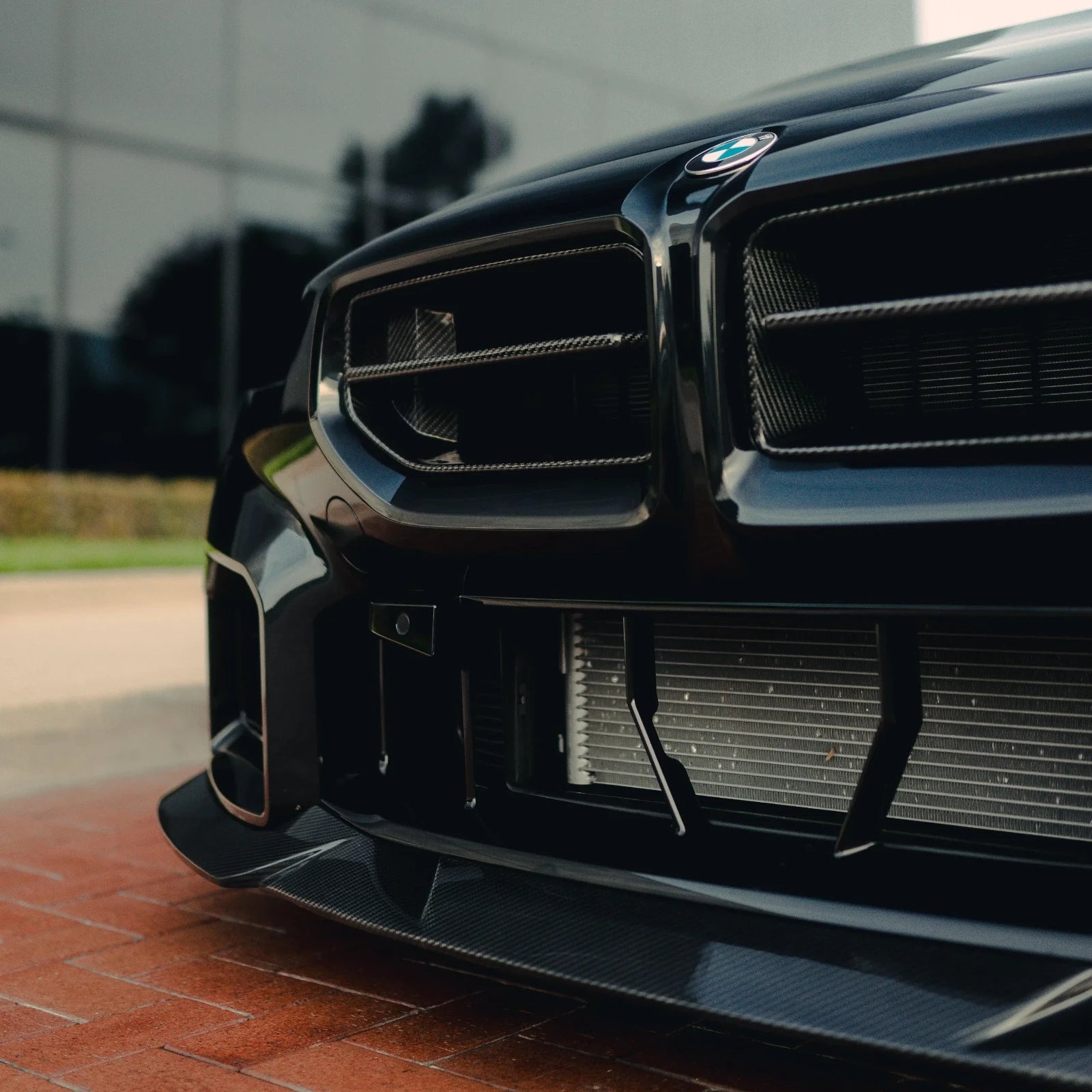 AN Style Carbon Fiber Front Grilles - BMW G87 M2