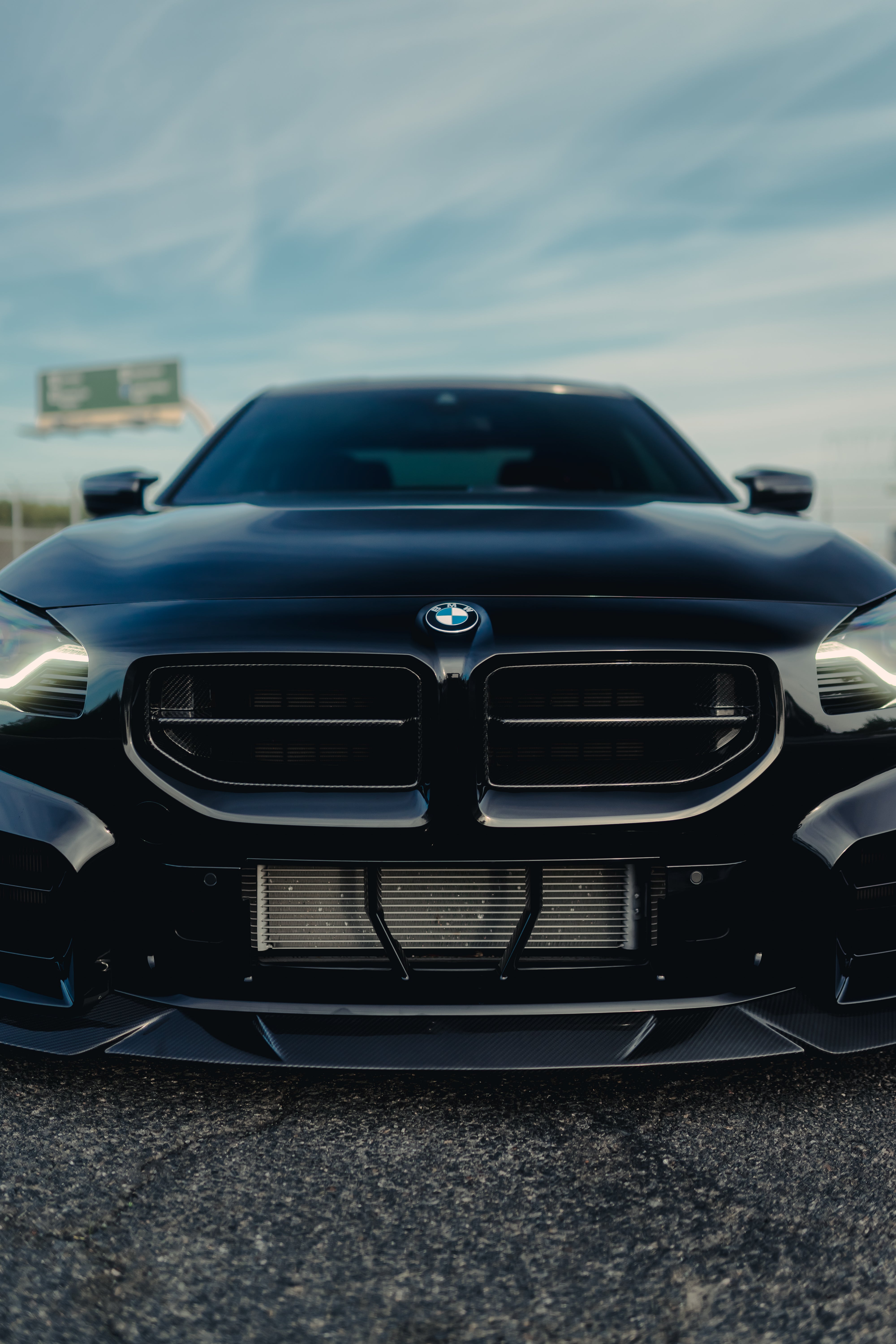 Alpha N Style Carbon Fiber Front Grilles - BMW G87 M2