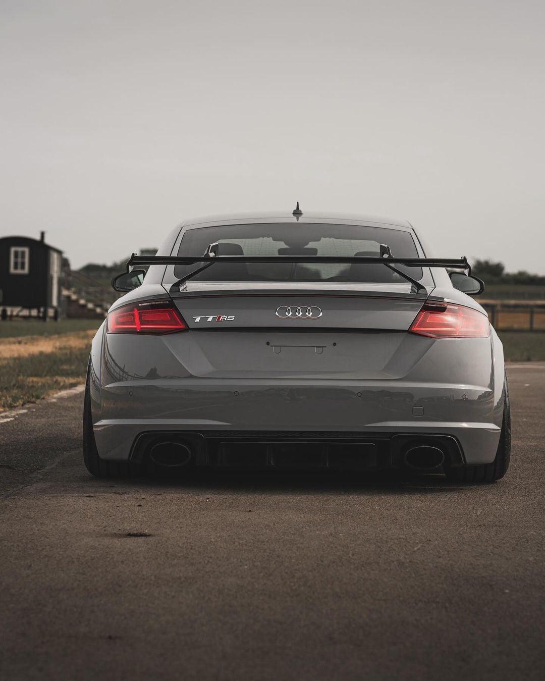 Sport Carbon Fiber Wing - Audi MK3 TTRS / TTS / TT Sport