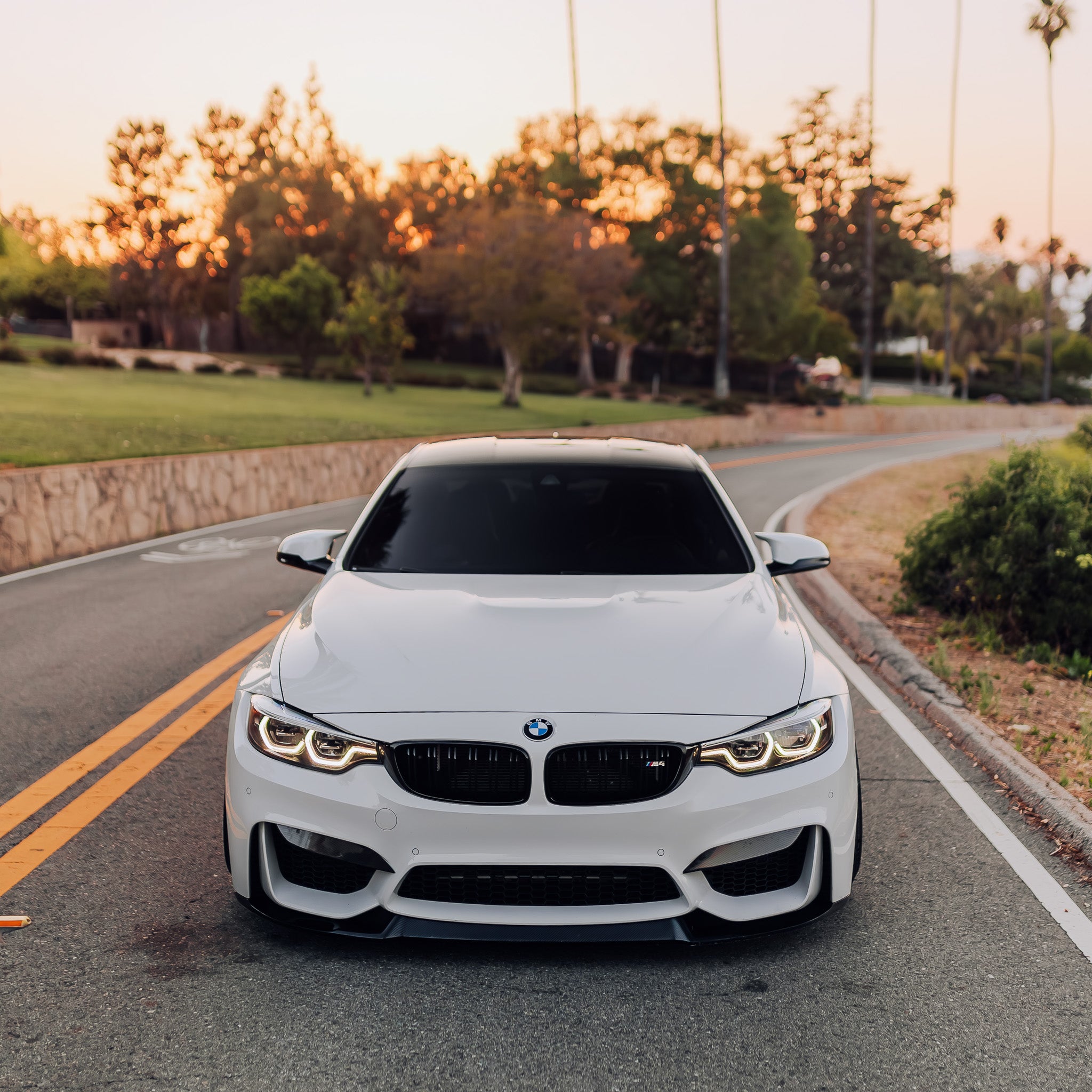 Carbon Fiber Front Upper Splitters - BMW F80 M3 & F82 / F83 M4