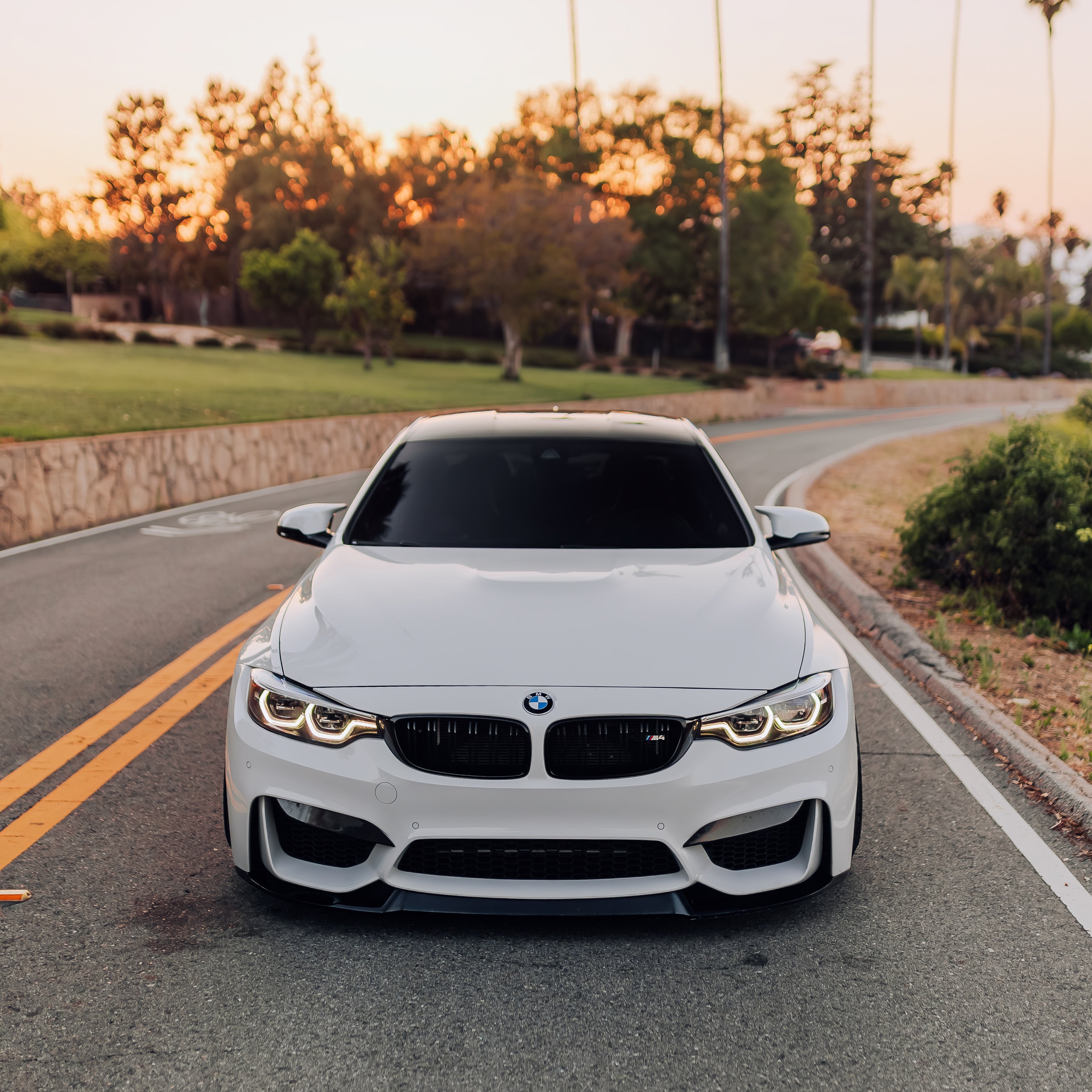 OEM White LED DRL Module- BMW F80 M3 & F82/F83 M4