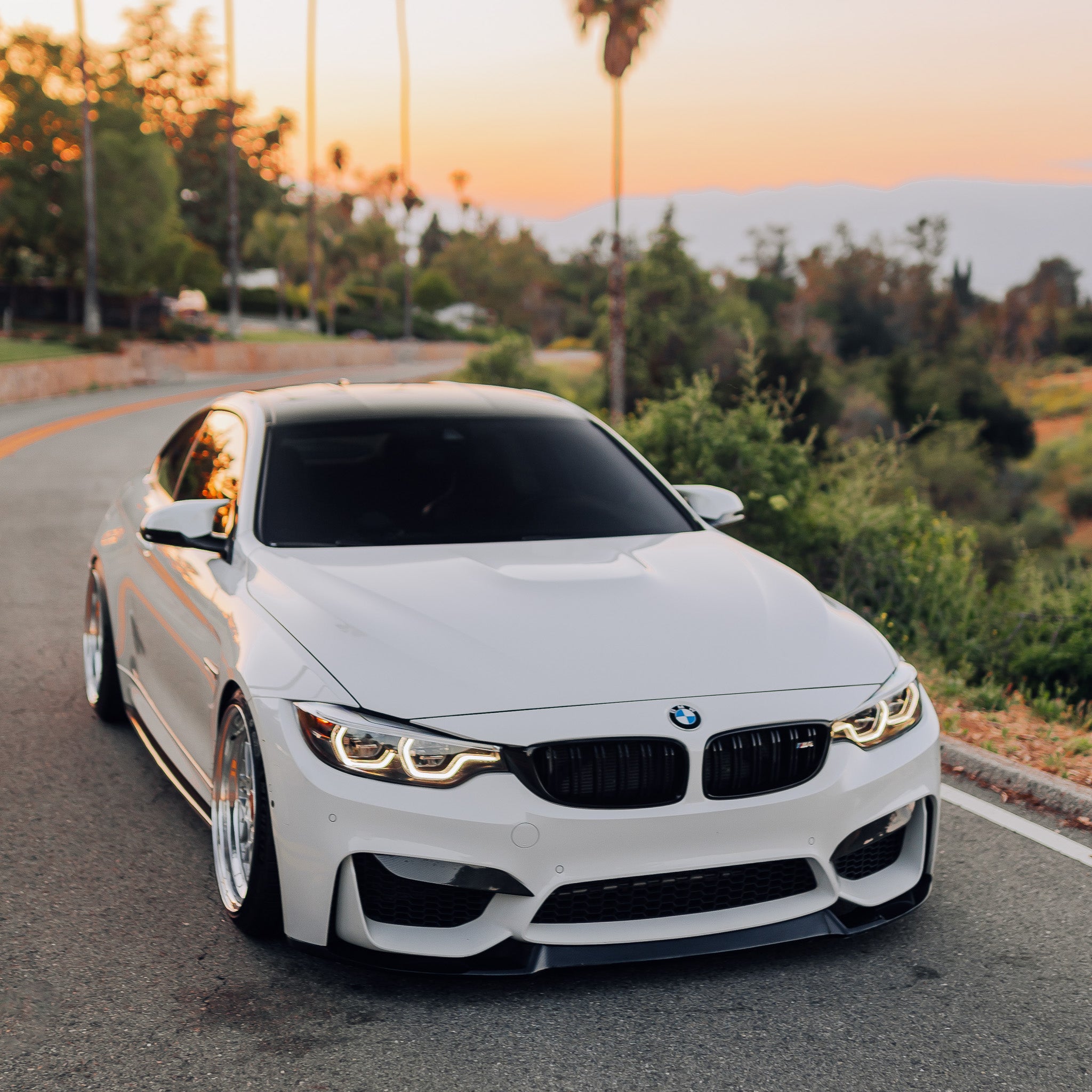 Carbon Fiber Front Upper Splitters - BMW F80 M3 & F82 / F83 M4