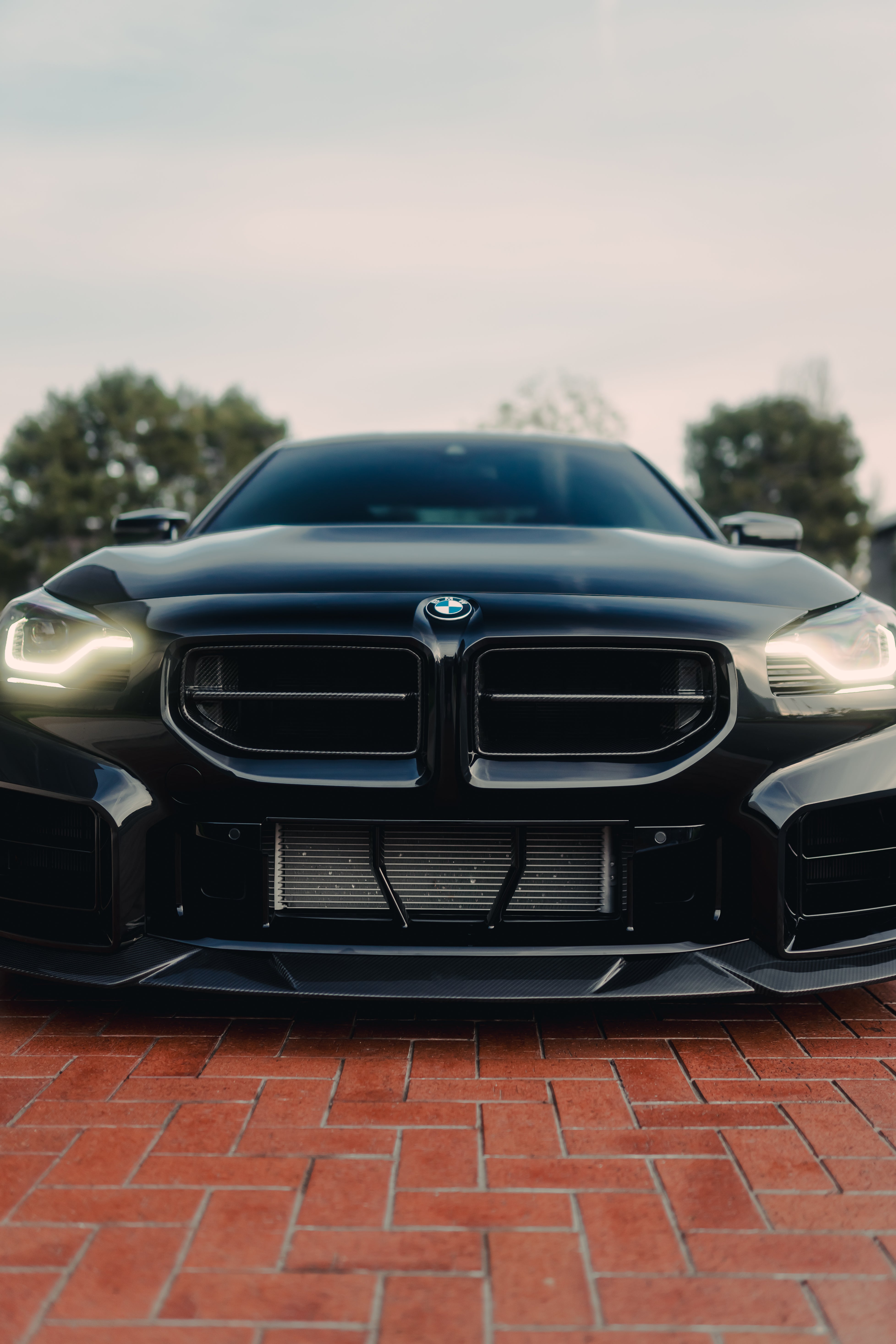 Alpha N Style Carbon Fiber Front Grilles - BMW G87 M2