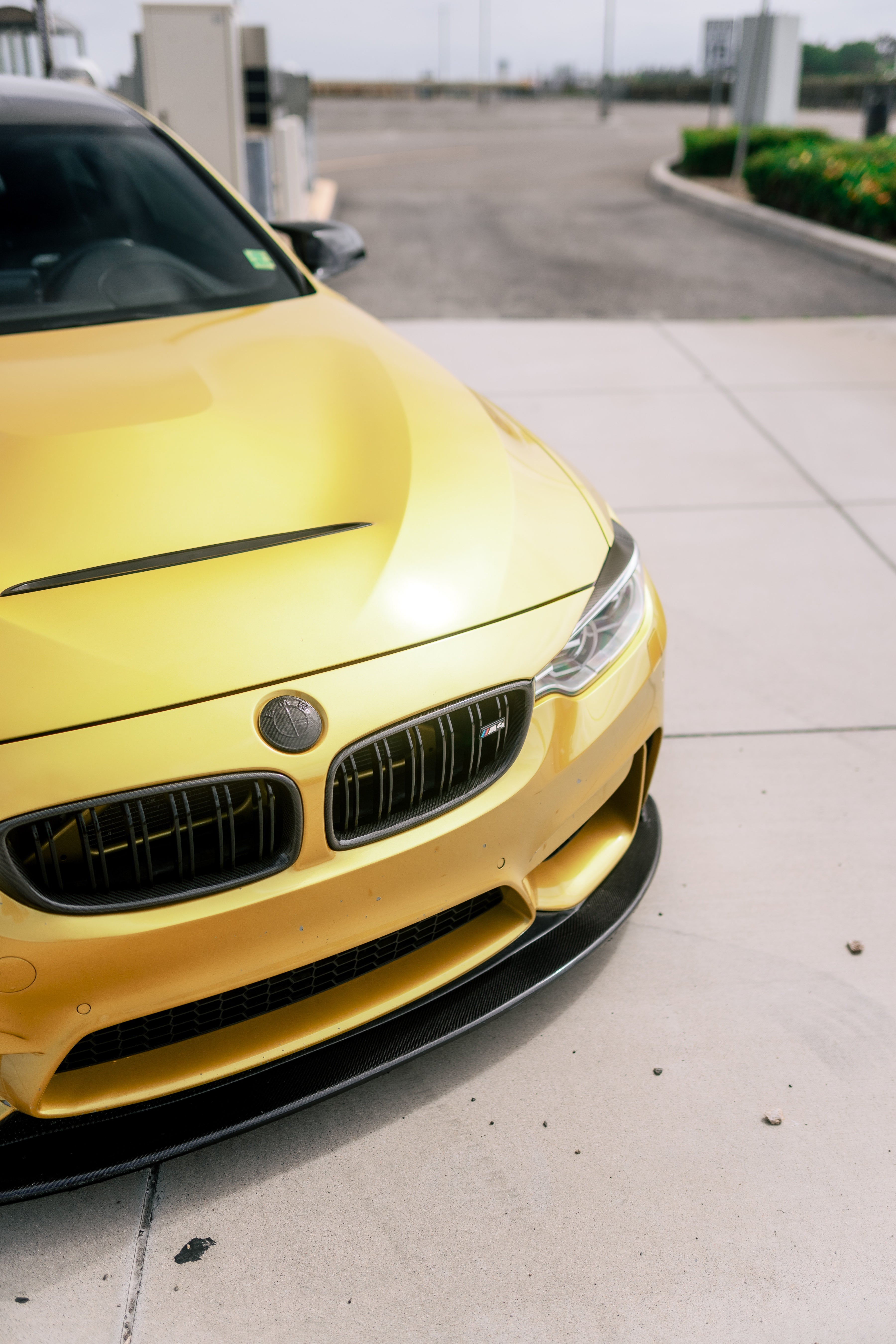 BMW F8X M3/M4 Carbon Fiber Front Hood