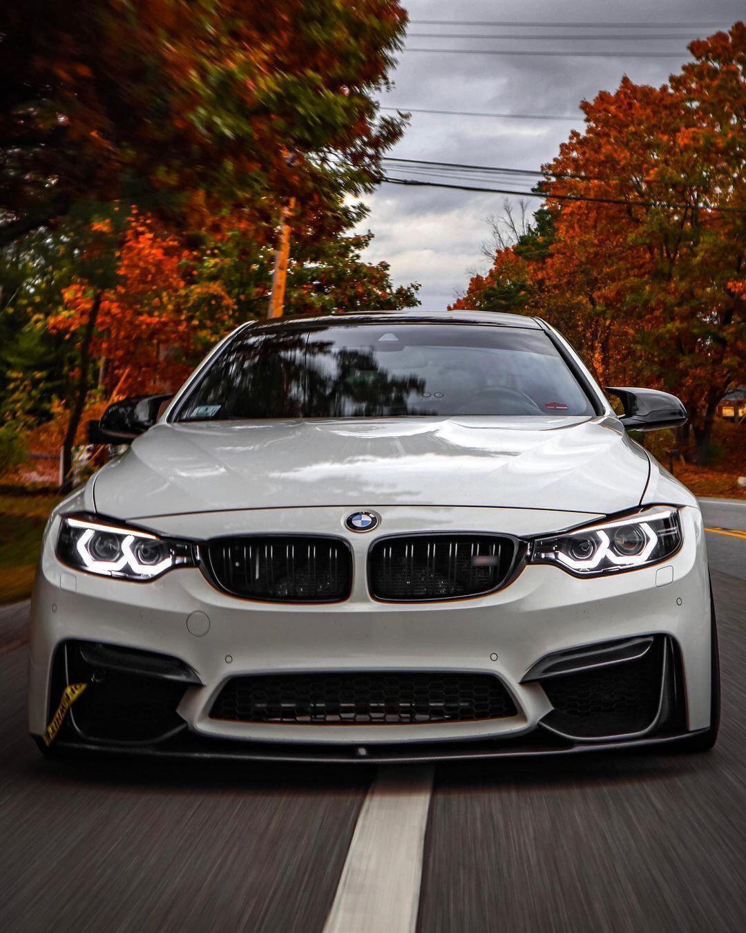 BMW F8X M3/M4 Carbon Fiber Front Lip