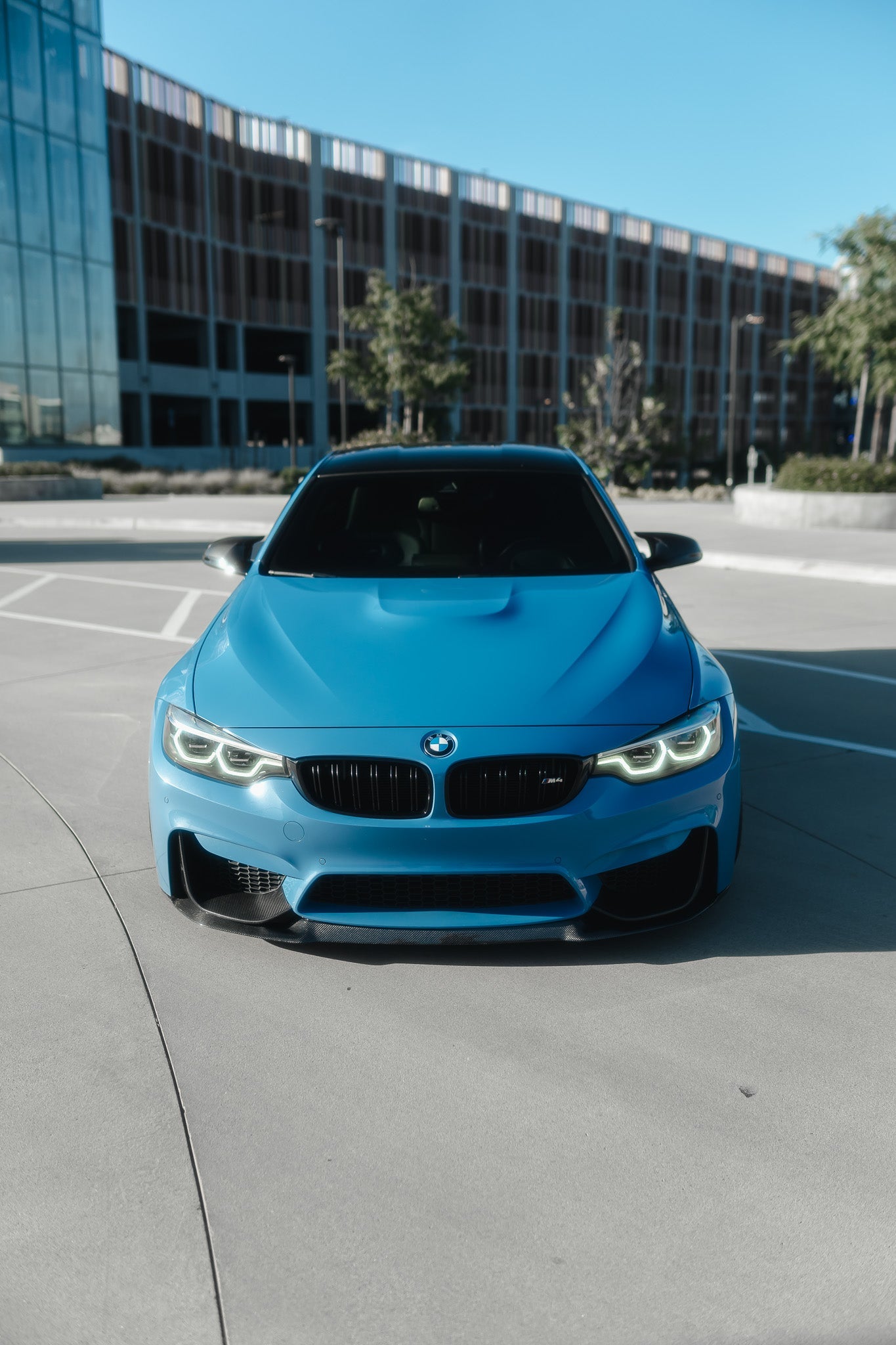 BMW F8X M3/M4 Carbon Fiber Front Lip