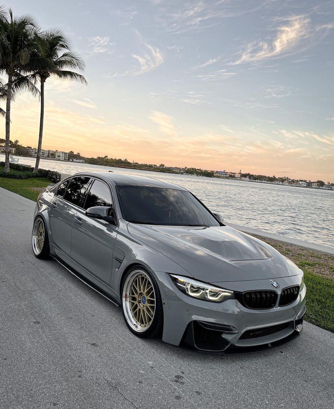 BMW F8X M3/M4 Carbon Fiber Side Skirts