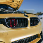 Dual Slat Front Grilles - BMW F82 / F83 M4