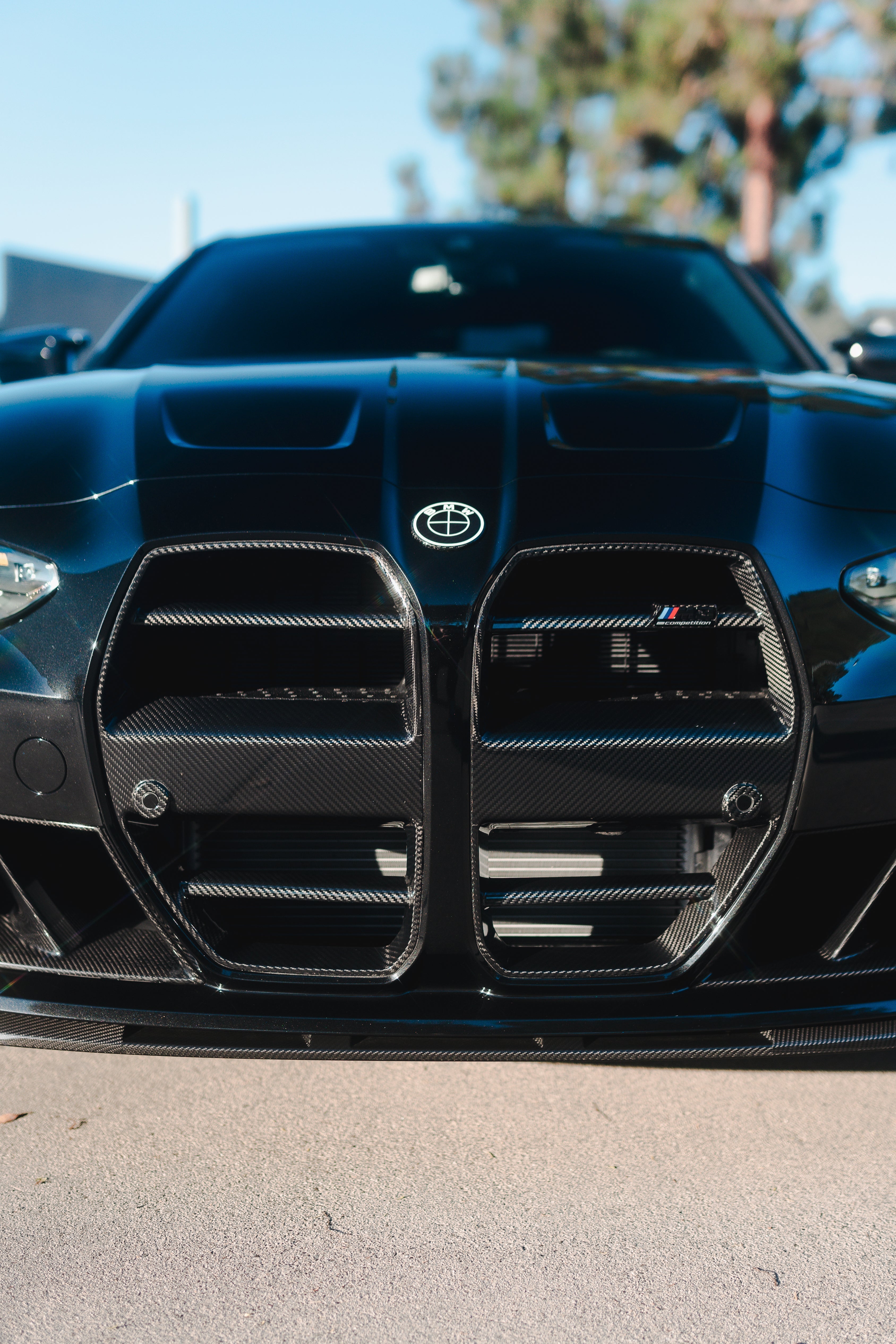 BMW G8X M3/M4 Carbon Fiber Front Grilles