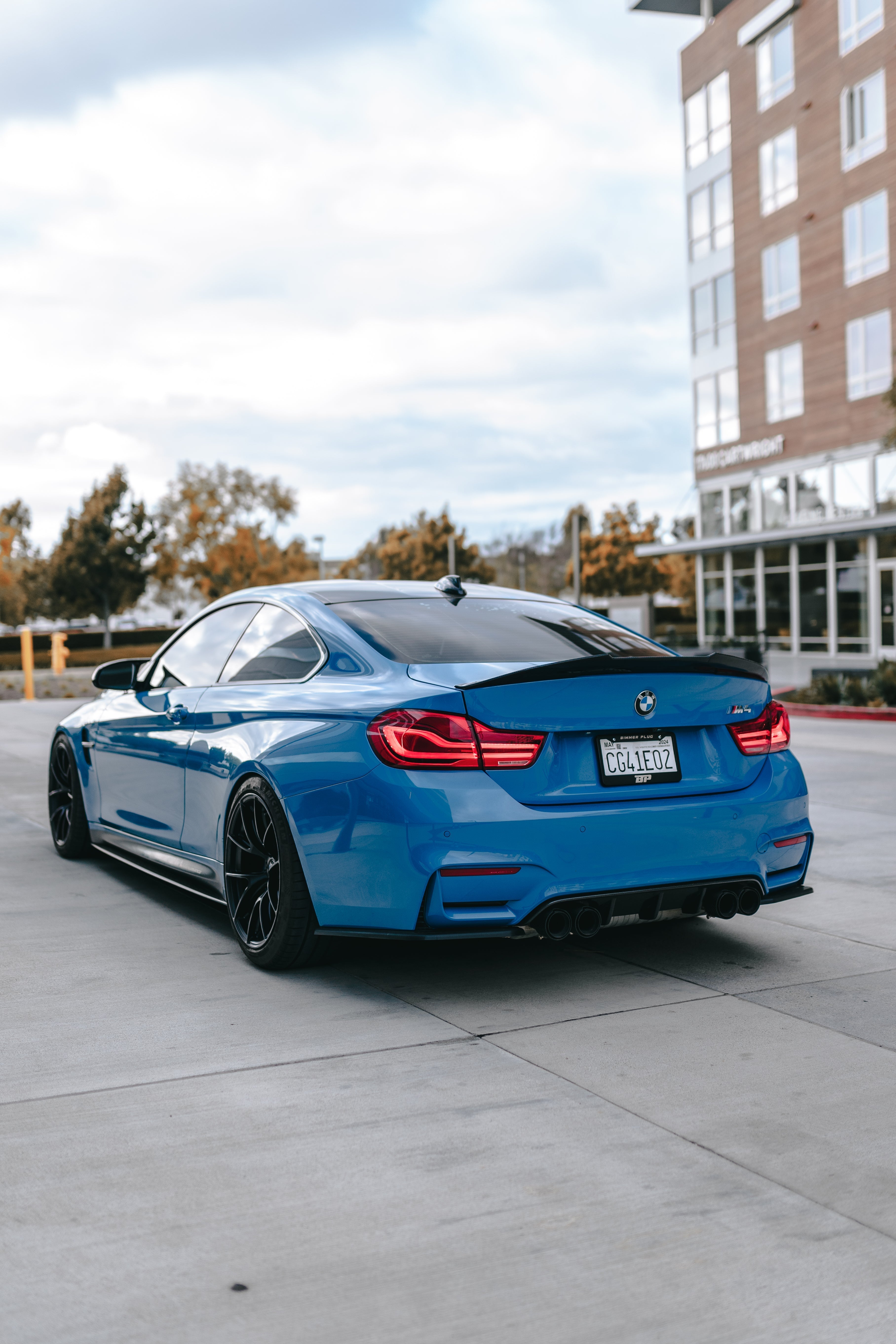 Bimmer Plug License Plate Frame