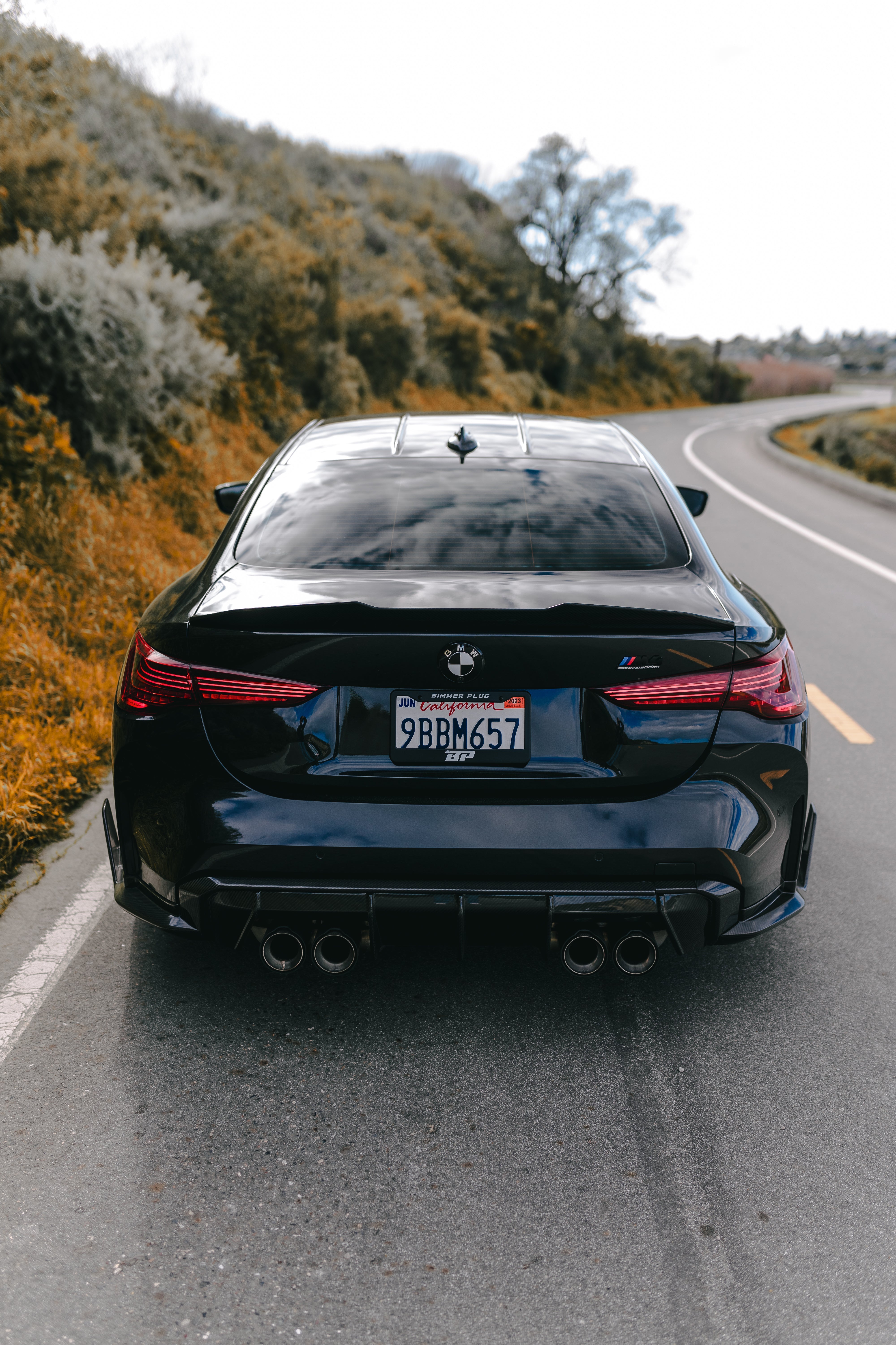 Bimmer Plug License Plate Frame