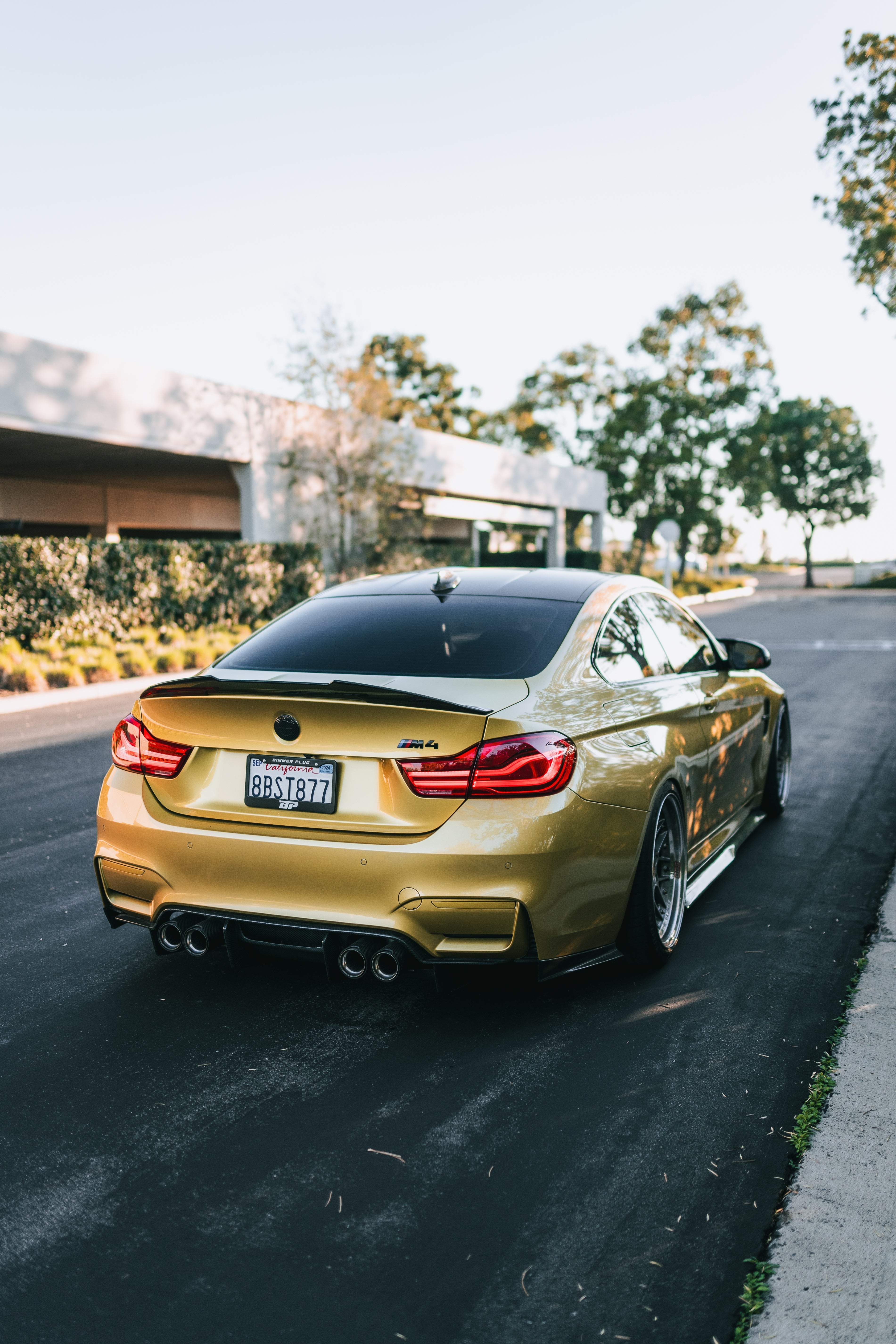 Bimmer Plug License Plate Frame