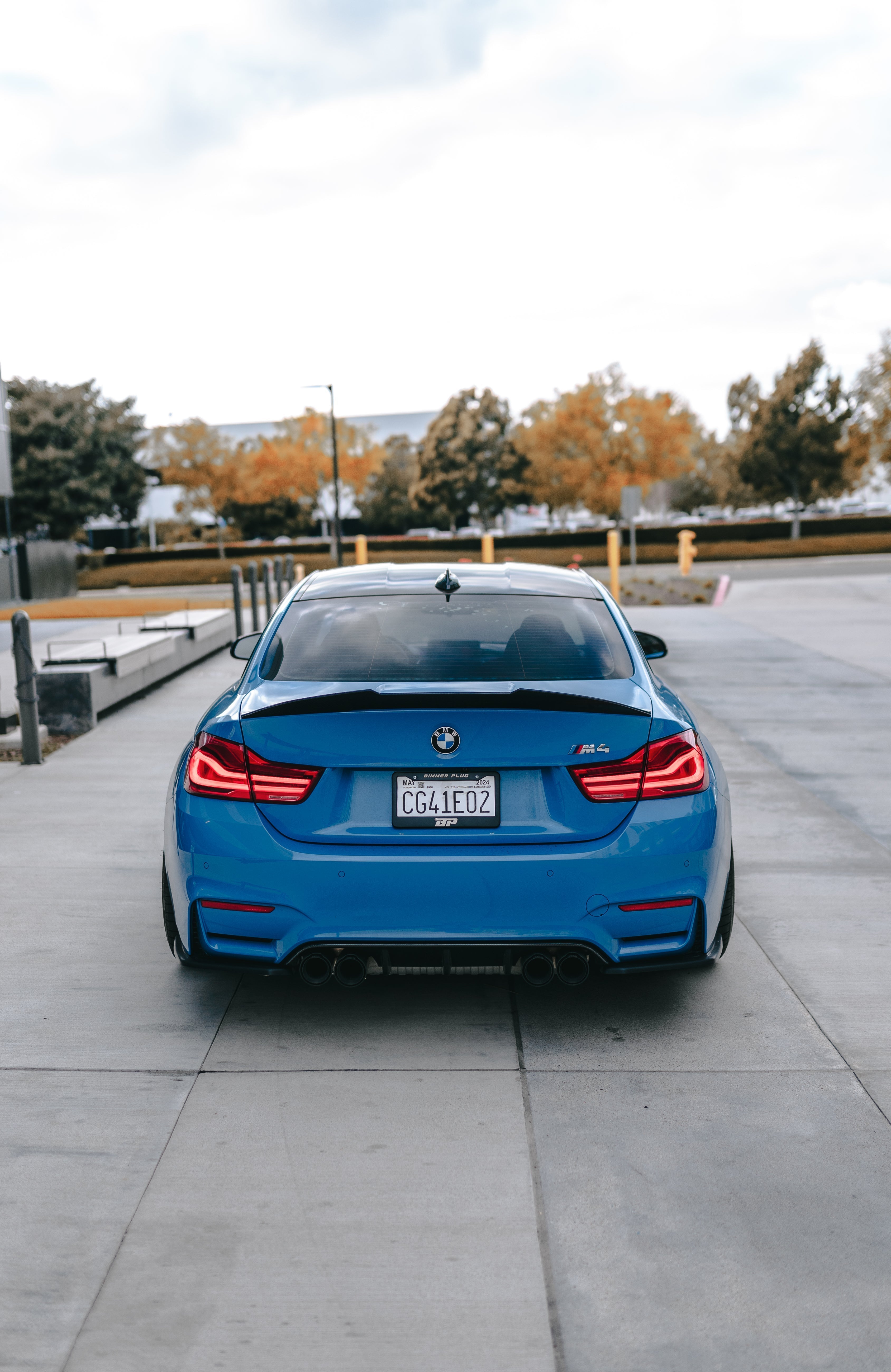 Bimmer Plug License Plate Frame