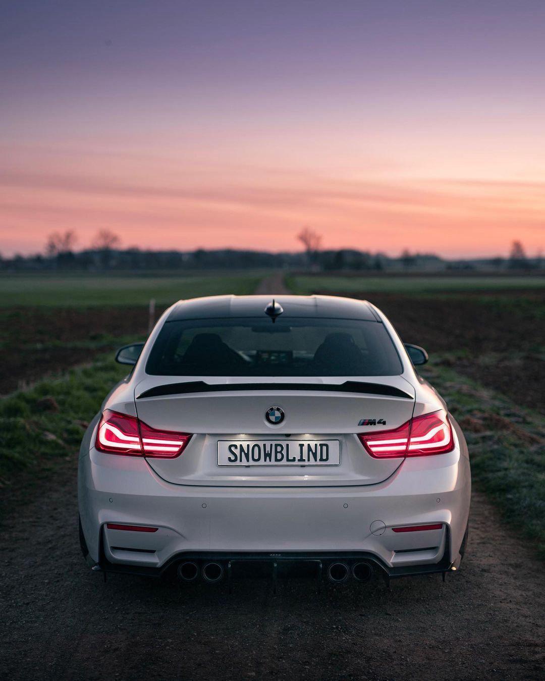 CS Style Carbon Fiber Trunk Spoiler - BMW F82 / F83 M4