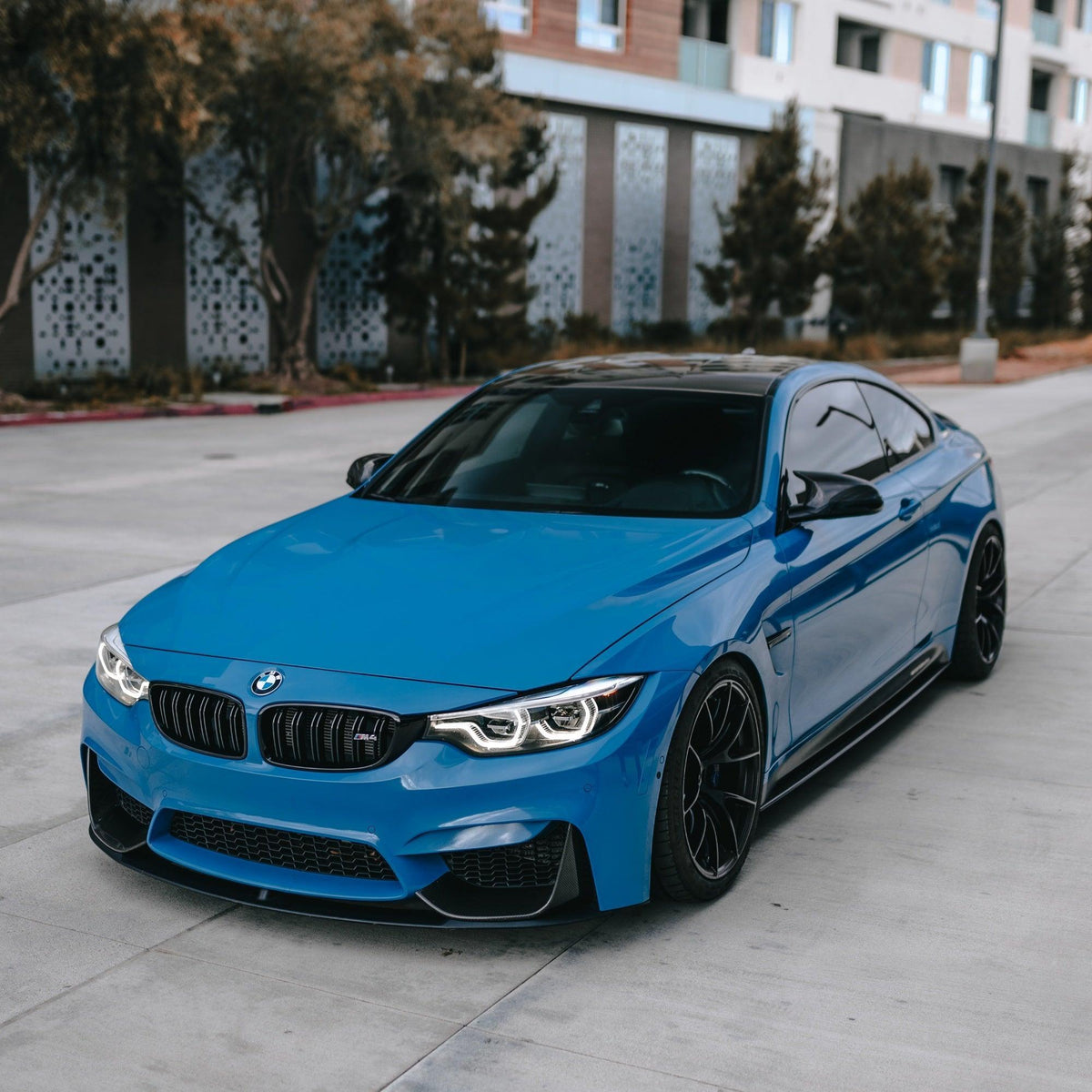 BMW F8X M3/M4 Dual Slat Front Grilles