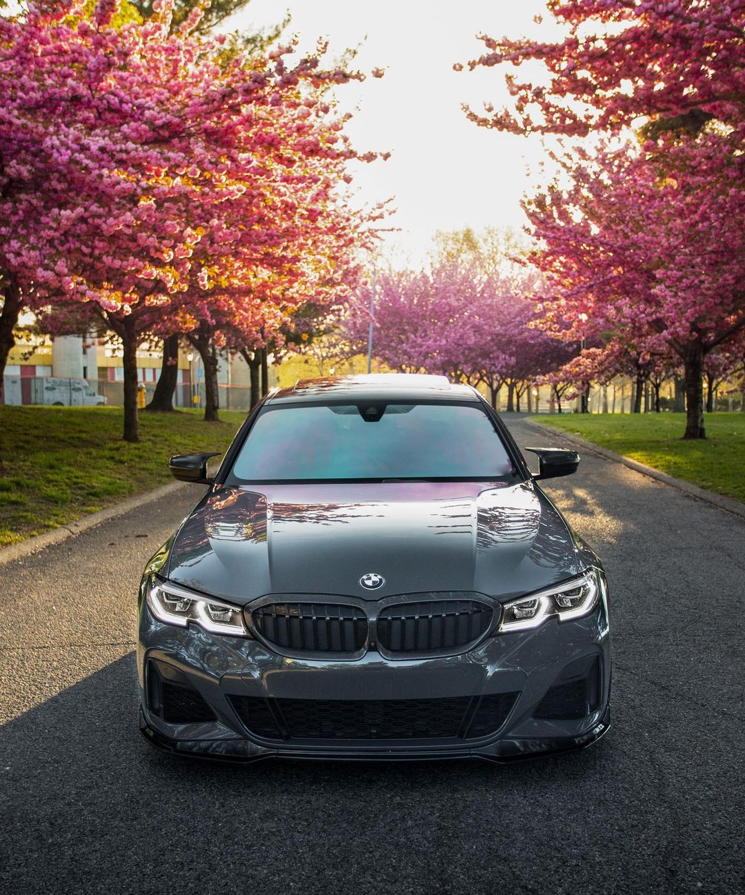 Dual Slat Front Grilles - BMW G20 3 Series