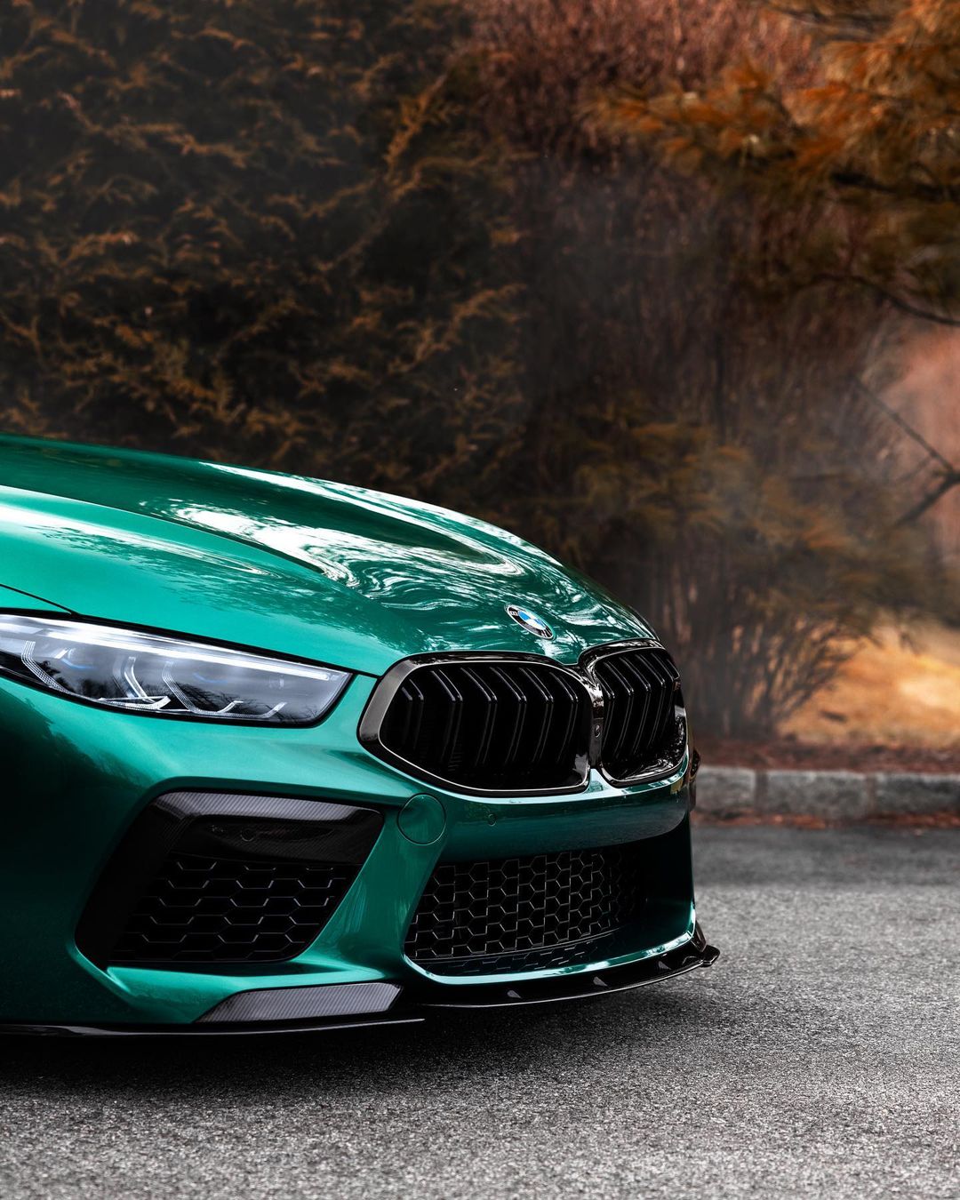 Dual Slat Front Grilles - BMW M8 & 8 Series