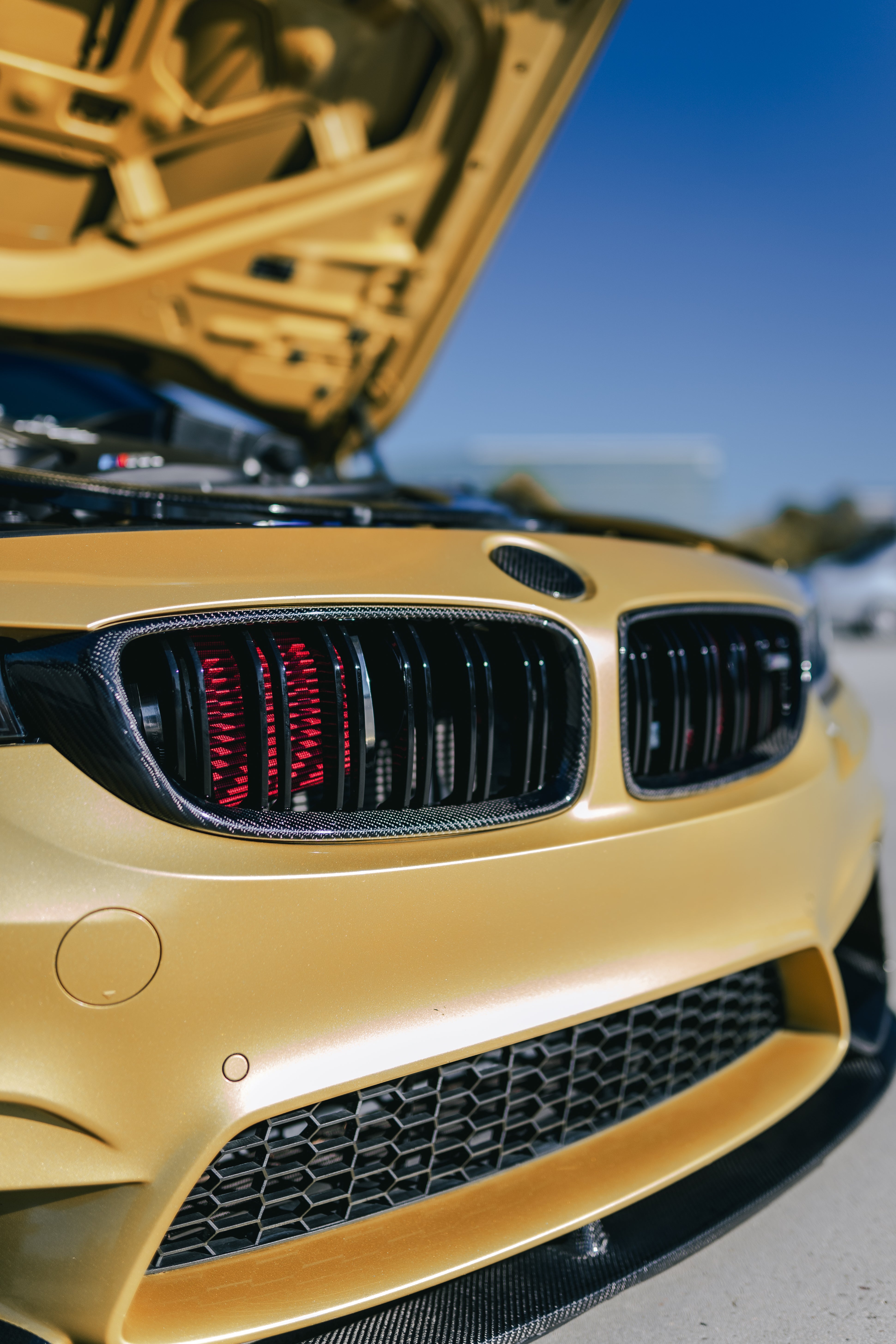 F8X M3/M4 Dual Slat Front Grilles