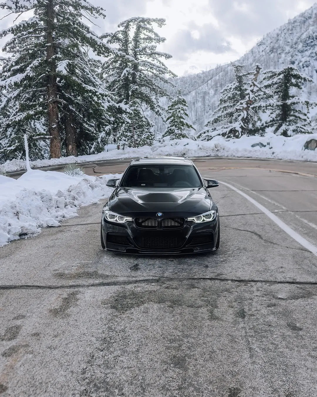 GTS Style Carbon Fiber Front Hood - BMW F30 3 Series & F32 / F33 / F36 4 Series