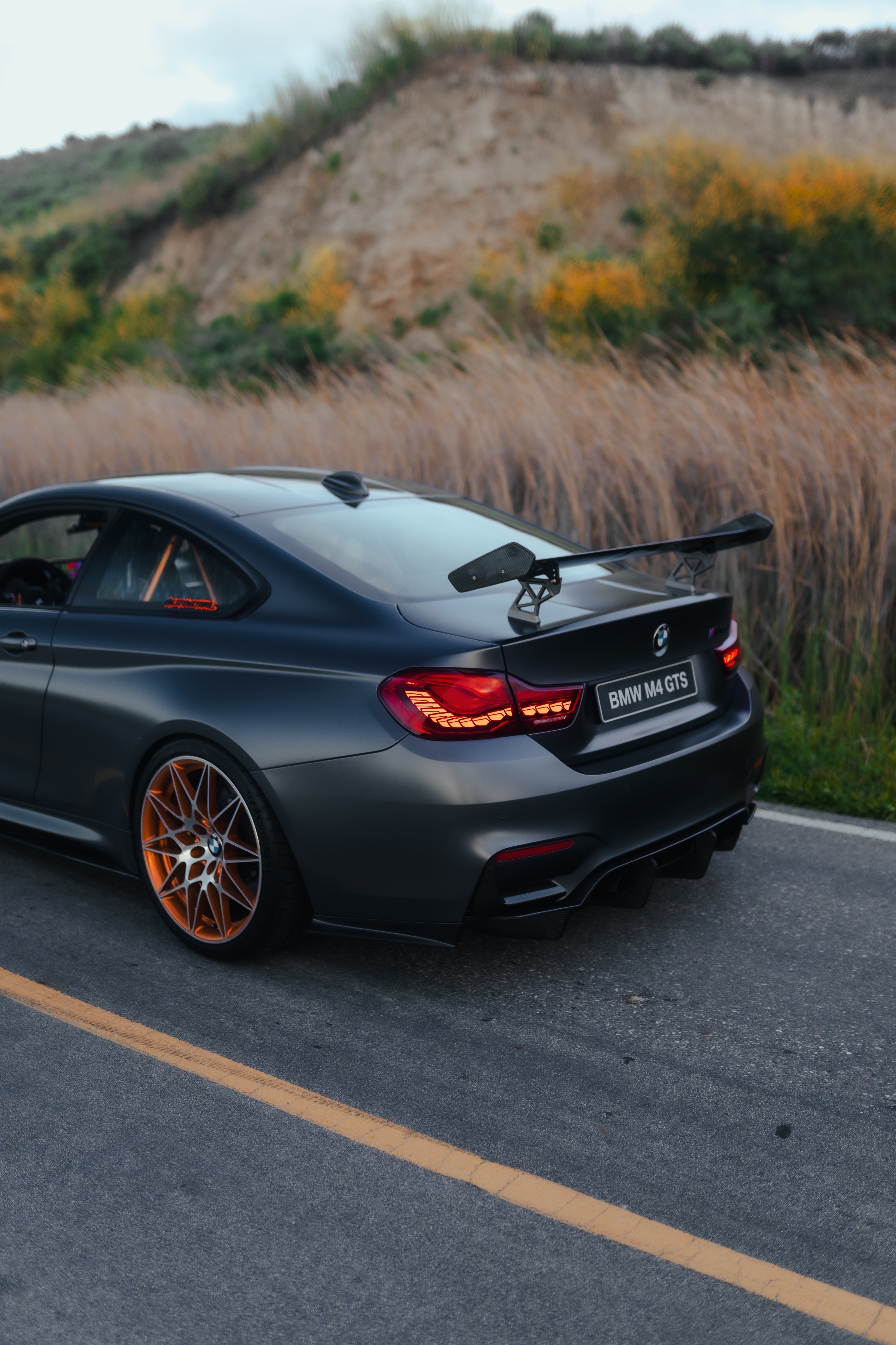 GTS Style Carbon Fiber Wing - BMW F8X M2/M3/M4