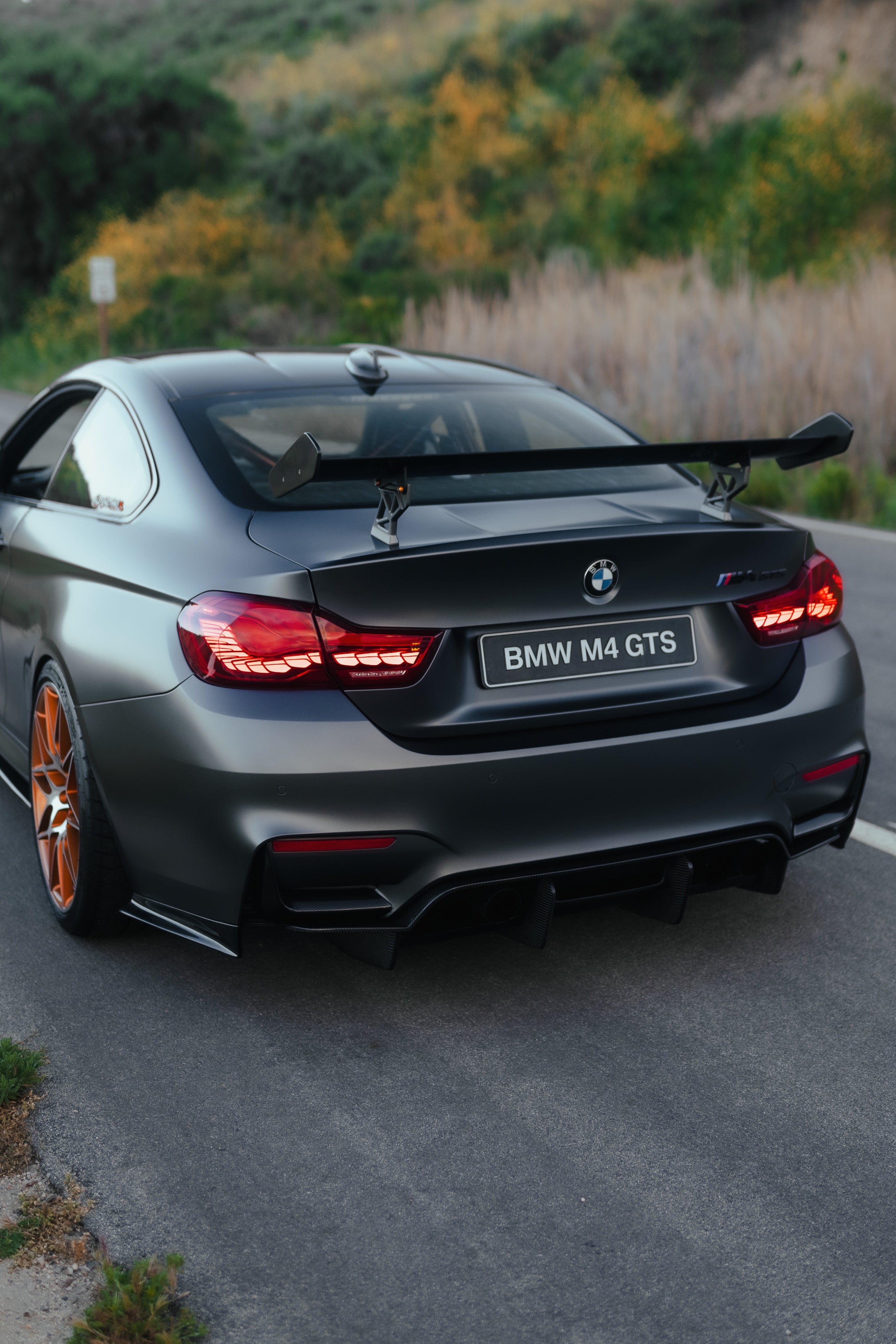 GTS Style Carbon Fiber Wing - BMW F8X M2/M3/M4