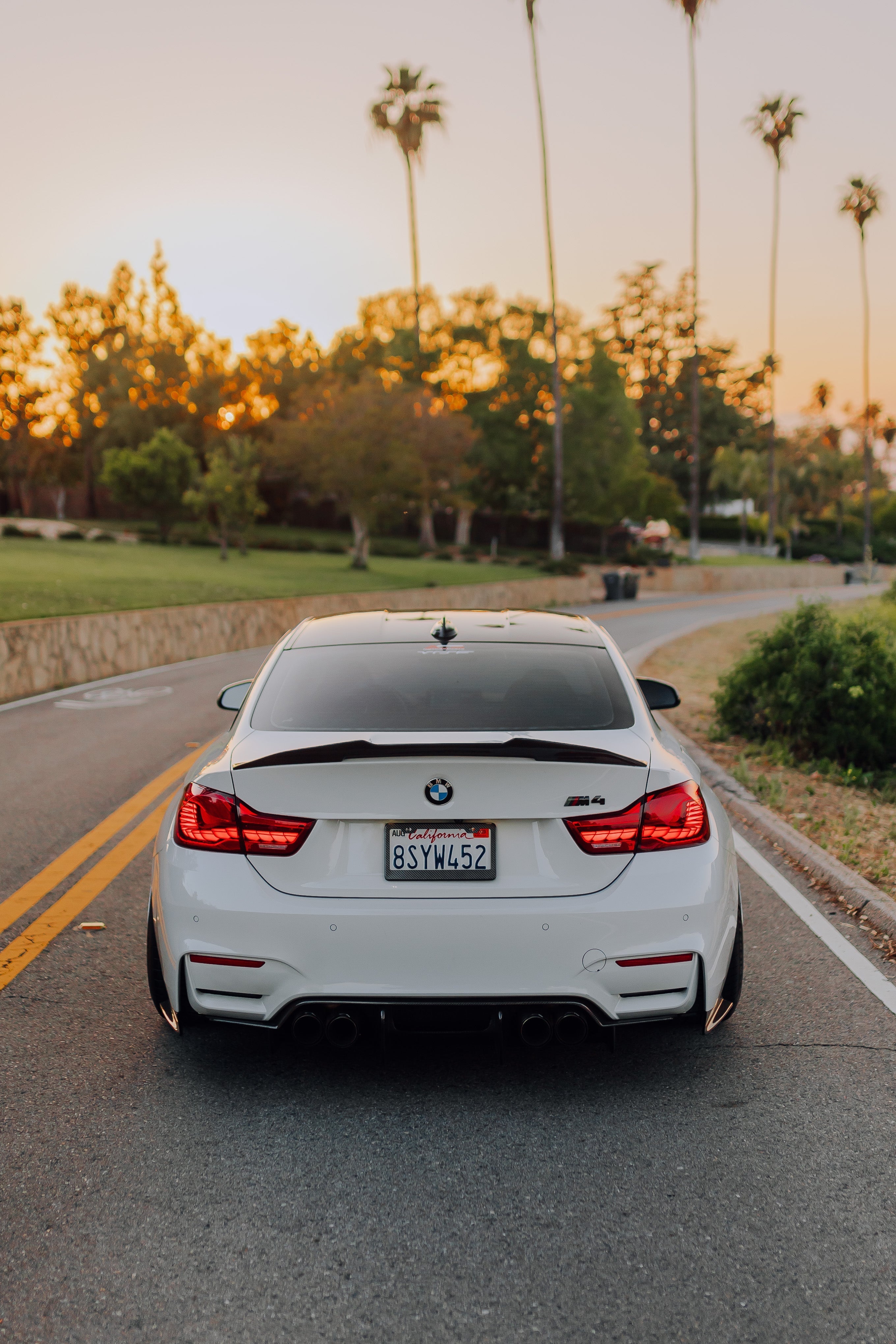 GTS Style OLED Sequential Taillights - BMW F82/F83 M4 & F32/F33/F36 4 Series