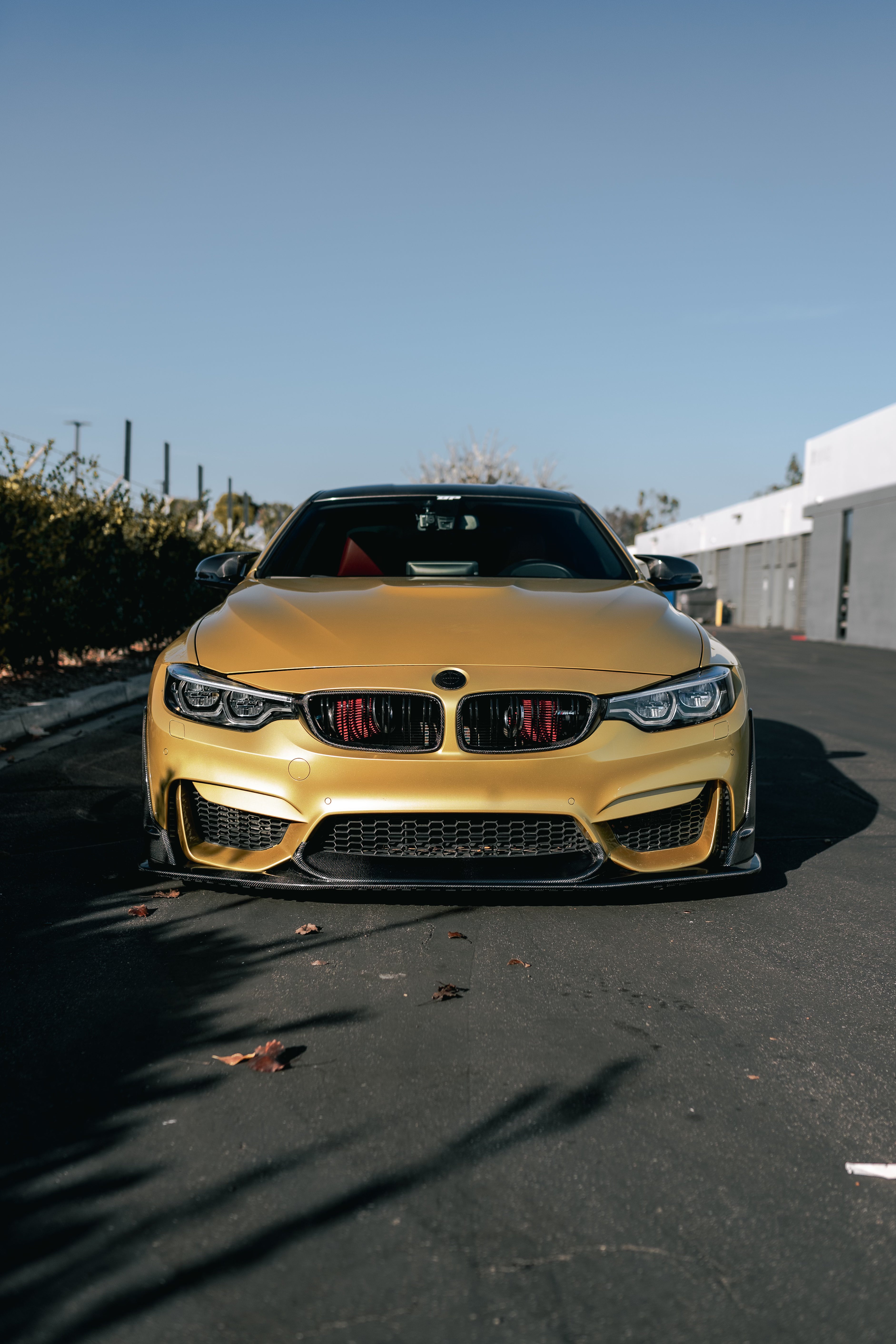 Laptor Style Carbon Fiber Front Lip - BMW F80 M3 & F82/F83 M4