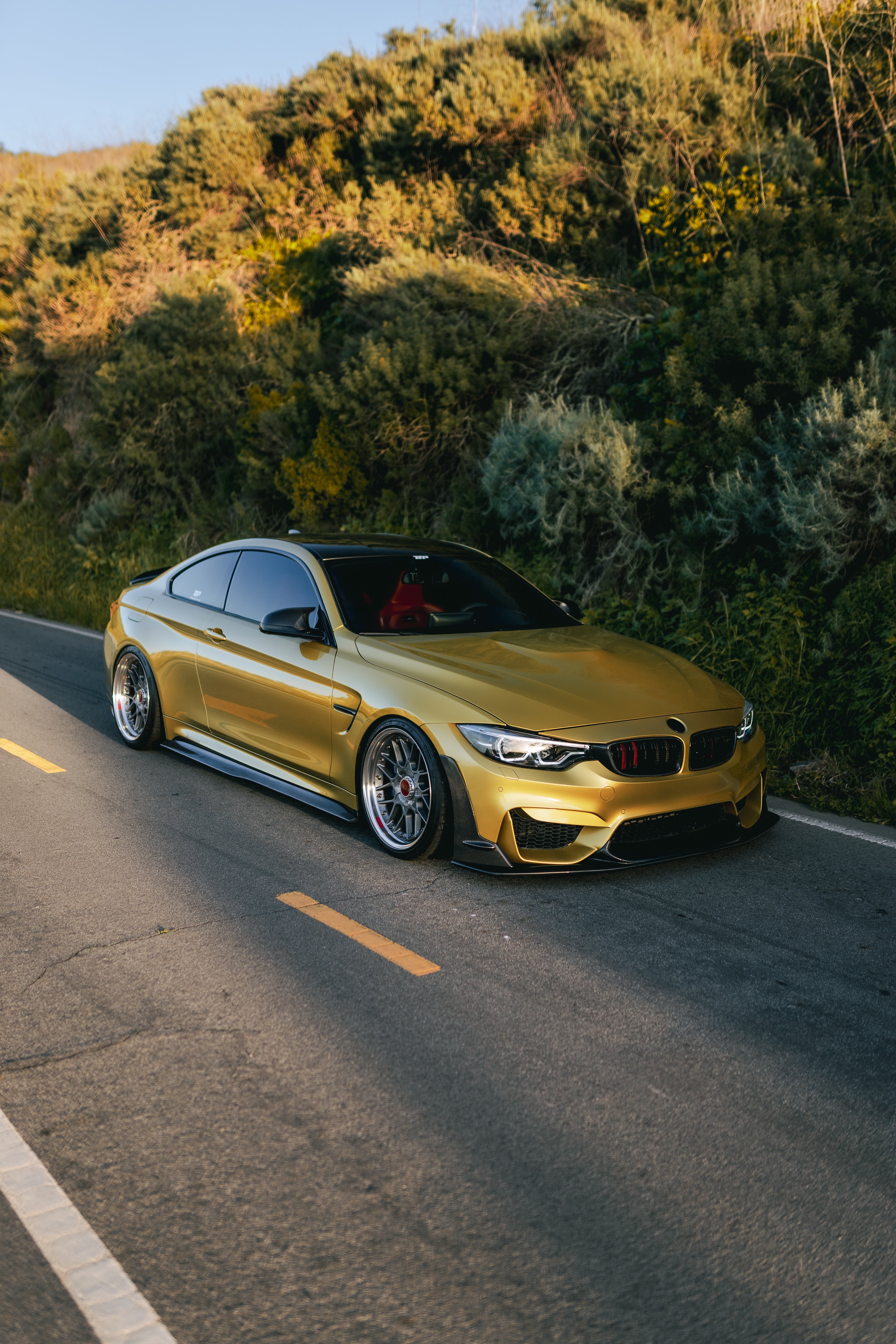 Laptor Style Carbon Fiber Front Lip - BMW F80 M3 & F82/F83 M4