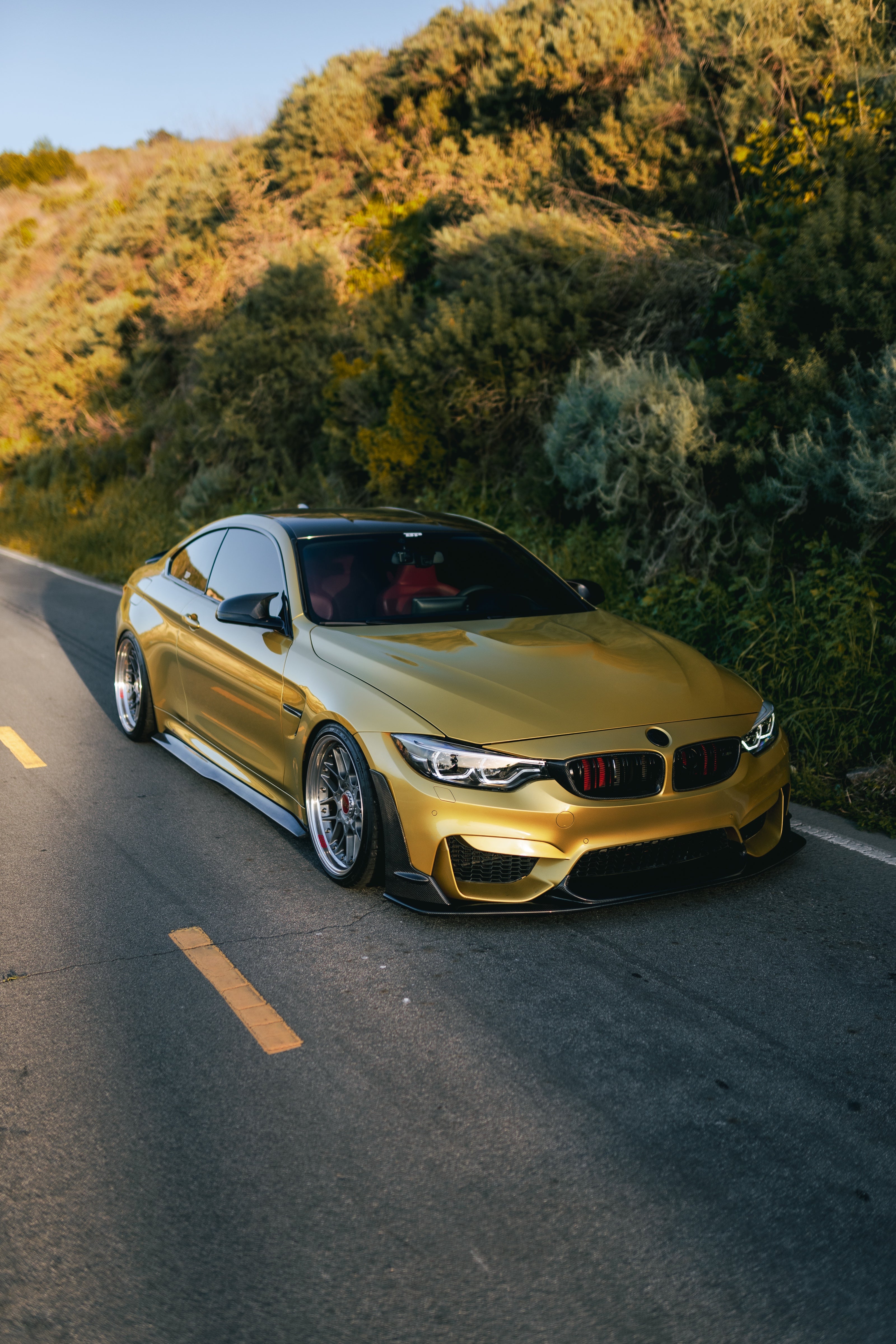 PSM Style Carbon Fiber Side Skirts - BMW F80 M3 & F82 / F83 M4