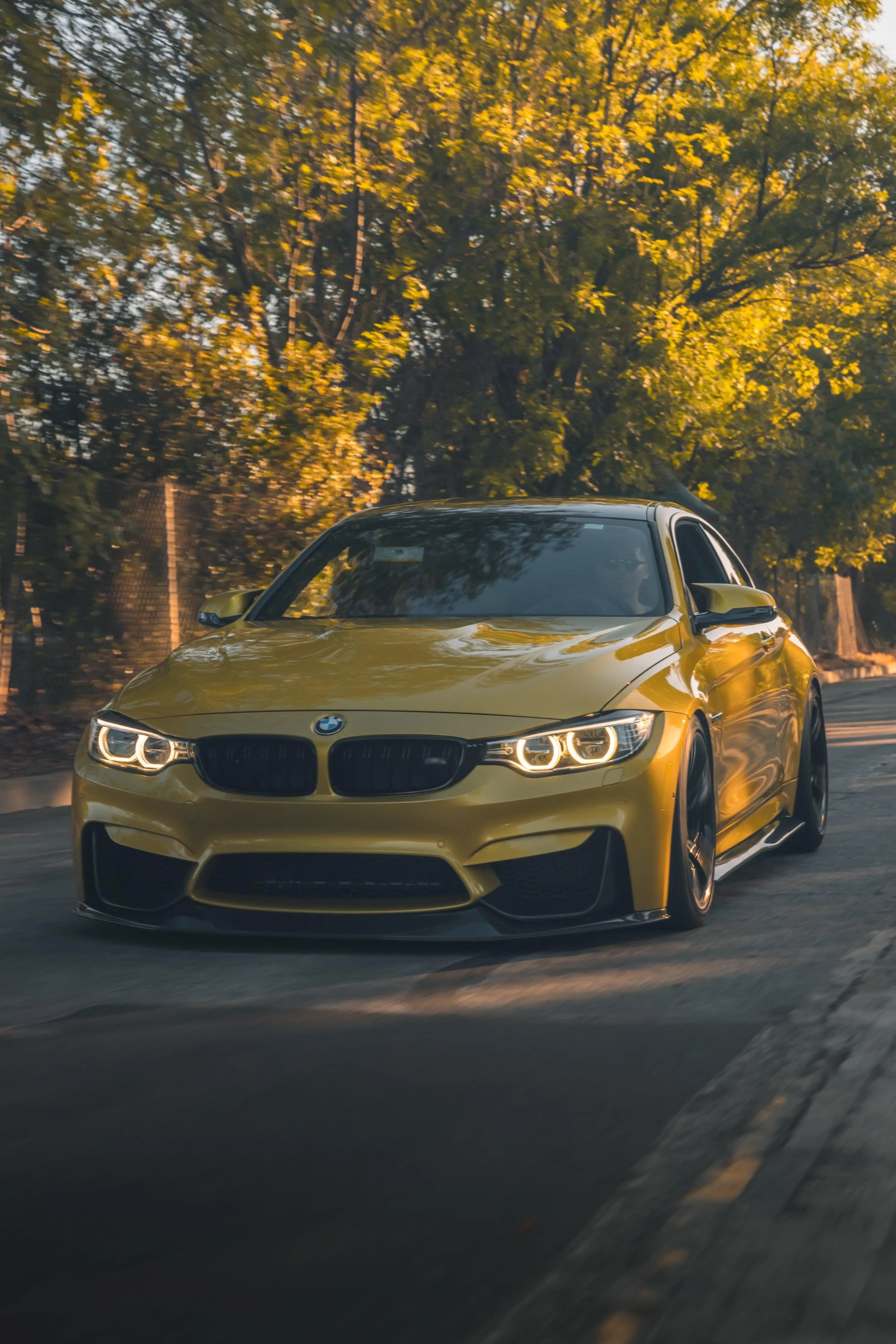 RSC Style Carbon Fiber Front Lip - BMW F80 M3 & F82 / F83 M4