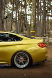 Bimmer Plug Decal